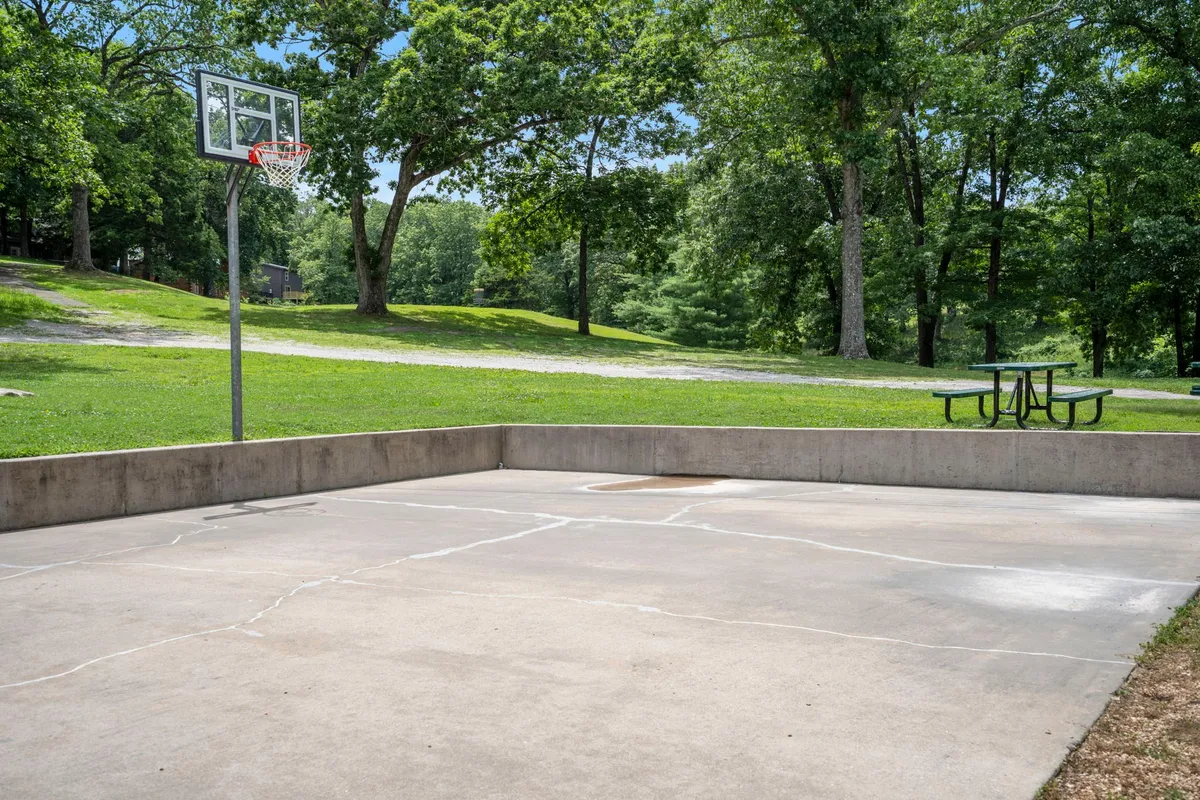 A basketball hoop stands at one end of a concrete court, next to a picnic table shaded by mature trees. The space is energetic and communal, perfect for friendly basketball games, outdoor picnics, or group gatherings under the open sky.