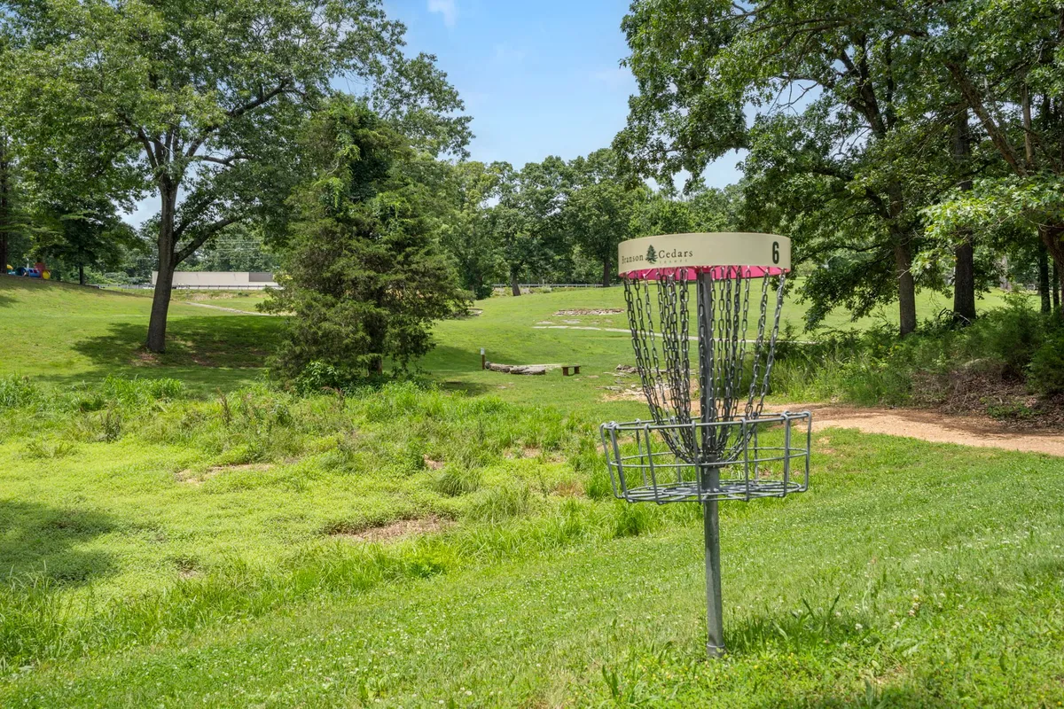 A disc golf basket set in a grassy, green clearing bordered by trees. The scene is peaceful, with open space for play and nature walks, inviting both competition and relaxation.